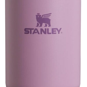 Stanley IceFlow Flip Straw Tumbler with Handle 30 oz | Twist On Lid and Flip Up Straw | Leak Resistant Water Bottle | Insulated Stainless Steel |BPA-Free | Lilac